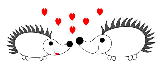 Hedgehogs in love