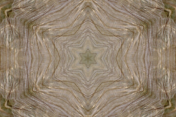 Taraxacum abstrakt als Kaleidoskop dargestellt