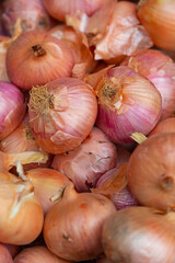 Cebollas en un mercado