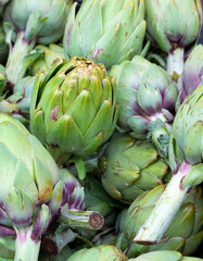 Alcachofas verdes