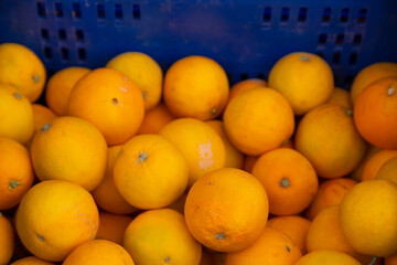 Naranjas en una caja azúl