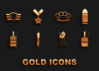 Set Military knife, Bullet, Hand grenade, Radar, Brass knuckles, reward medal and icon. Vector