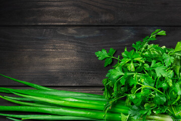 Fresh garden herbs on a dark wooden background with space for text. Top view. Concept of healthy, vegetarian, diet food.