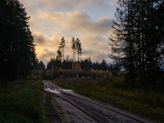 Naklejka premium wet gravel road with water in countryside