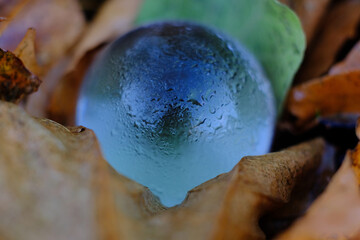 Crystal Ball Nature