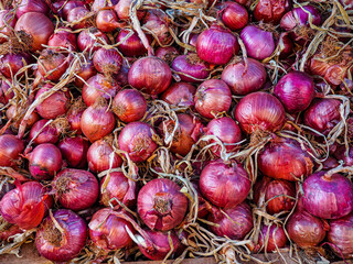 Top view detail - sun shines to red onions displayed on food market in Fes, Morocco