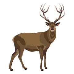 Deer with brown fur for banners, flyers, posters, cards. Wild animal. Vector illustration isolated on white background