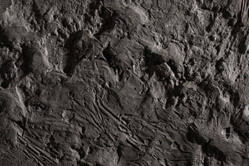 Grey textured clay wall design with cracks and imperfections. Wall design ideas in contemporary interior.