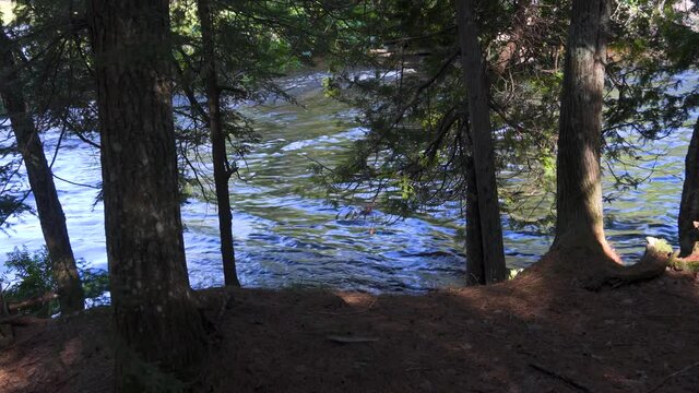 River flowing between banks of trees in northern Michigan in late summer--view of the river through a clearing between trees; blue water, green trees. 260
