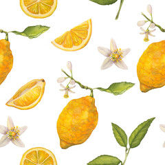 Lemons watercolor seamless pattern. Botanical wallpaper 