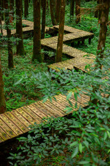 Forest, climber, safety, walking, boardwalk