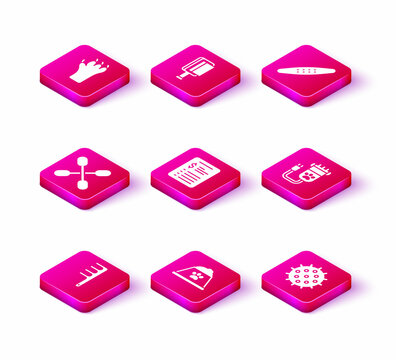 Set Hair brush for dog and cat, Pet food bowl, Cotton swab ears, Grooming salon price list, Tennis ball, clipper pet, Nail file and icon. Vector