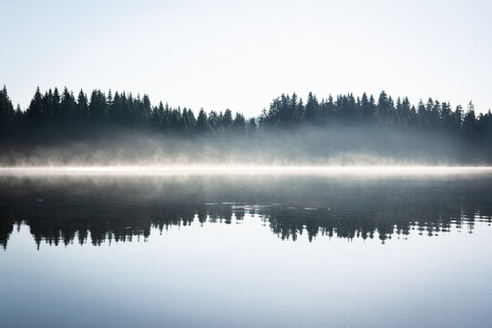 Misty morning on the lake.