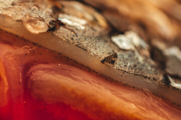 Macro View of Fish Scales Salmon Rainbow Trout. © Konrad