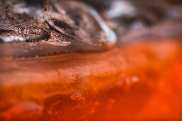 Macro View of Fish Scales Salmon Rainbow Trout. © Konrad