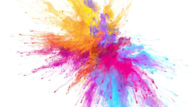 Color Burst - Colorful pink magenta orange yellow purple blue smoke powder explosion. Coloured fluid ink particles in slow motion. Isolated on white background. Alpha matte 4k.