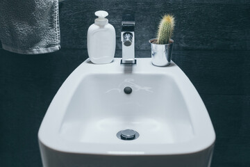 Closeup view of a bidet with towel, soap dispenser and a cactus. Modern environment bathroom...