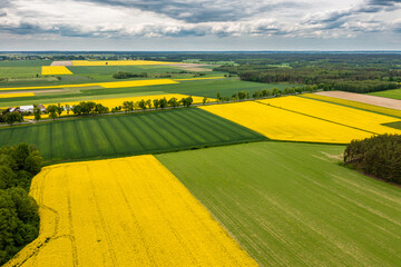 Agricultural landscape, fields of yellow colza and green grain under moody cloudy sky aerial view