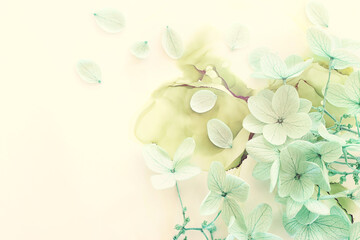 Creative image of pastel mint green Hydrangea flowers on artistic ink background. Top view with copy space