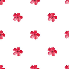 Seamless pattern from a hand-drawn watercolor red flowers on a white background. Use for menus, invitations