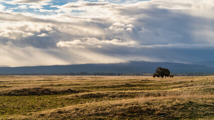 A storm rolls into Central Oregon ranch