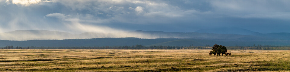 Fototapeta na wymiar A storm rolls into Central Oregon ranch