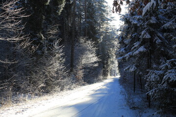 Śnieżna droga 