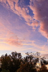 Landscape of orange sky with clouds and trees