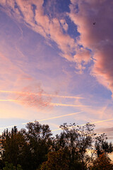 Fototapeta na wymiar Landscape of orange sky with clouds and trees