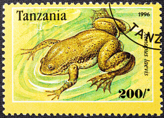 TANZANIA - CIRCA 1996: A stamp printed in Tanzania shows Xenopus laevis, circa 1996