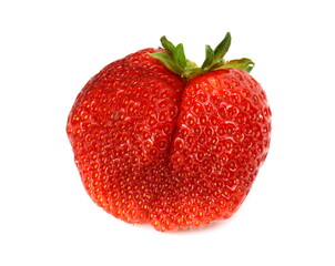 Isolated strawberry. Single strawberry fruit isolated on white background, with clipping path