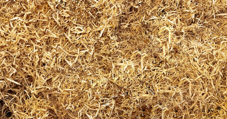 Texture of yellow wooden sawdust. Copy space for text.