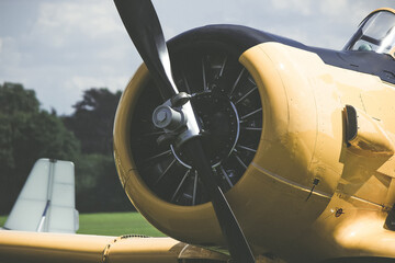 Propeller engine, single-engine aircraft.