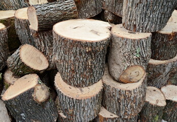 a large pile of cut firewood