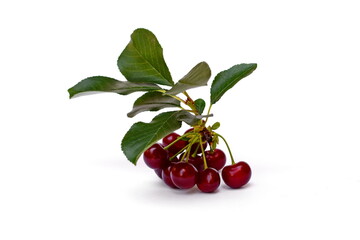 Sweet red cherries with leaves isolated on the white background.