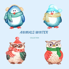 watercolor set of owls and penguins in winter