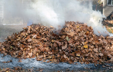 piles of burning leaves, during fall clean up in the yard