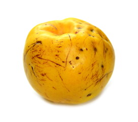 quince isolated on the white background.