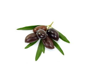 Olive branch with black olives, isolated on white background