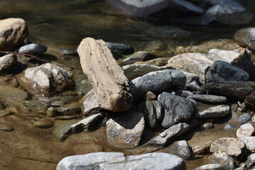 Rocks and wood in water