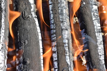 charred wood © Jeno