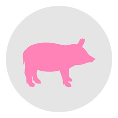 Pig. Silhouette of hog. Circle web icon on white. Hand drawn animal on isolated background