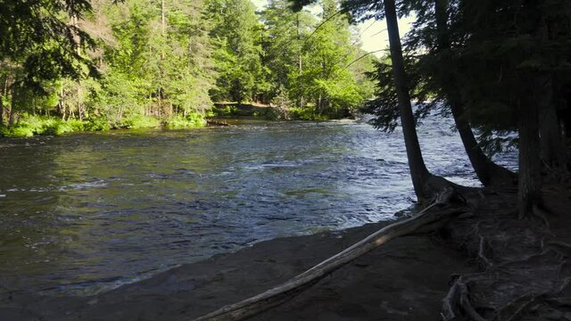 River flowing between banks of trees in northern Michigan in late summer--view of the river through a clearing between trees; blue water, green trees. 272
