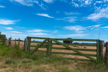 Fototapeta na wymiar Farm gate and pasture and cattle breeding field