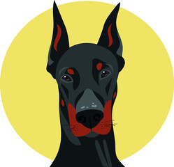 Doberman dog on a contrasting background