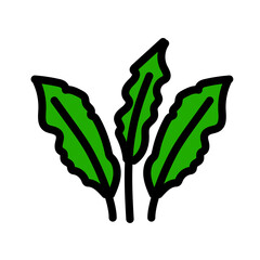 Seaweed color icon