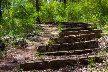 Stone stairs leading up hill in Australian bush