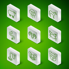 Set line Cute panda face, Rat head, Sheep, Head of goat or ram, Snake, Jellyfish, Collar with name tag and Crab icon. Vector © Vadim