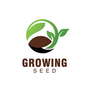 growing seed logo