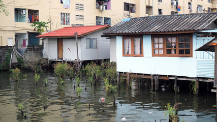 Water front city house slum river in Bangkok Thailand.